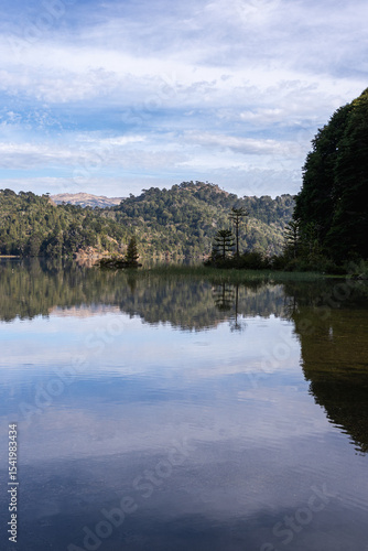 Calm lake reflecting the sky and the forested shoreline with Araucaria trees. Lake Matetuwe, Villa Pehuenia, Argentina