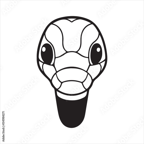 Coral Snake – Striking Colors of a Deadly Forest Serpent