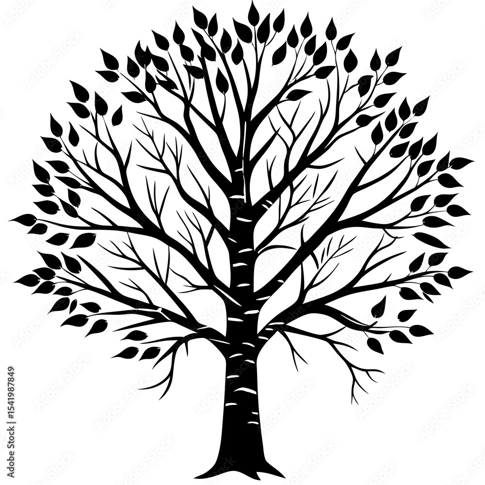 Obraz premium tree with roots