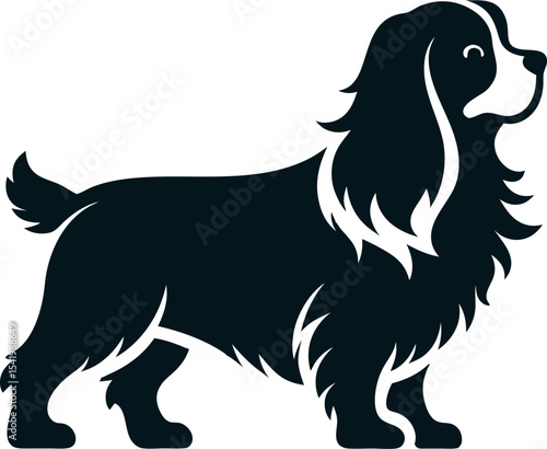Cavalier King Charles Spaniel silhouette vector icon 