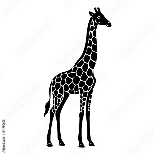 Isolated giraffe vector illustration silhouette africa animal wildlife zoo safari mammal neck tall spots art