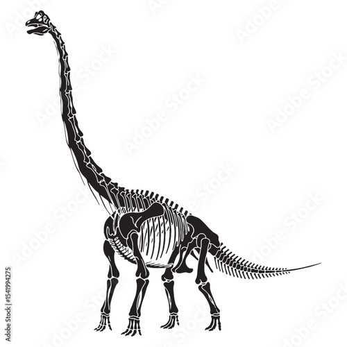 A timeless Jurassic form – the Brachiosaurus skeleton silhouette rendered in Brachiosaurus skeleton vector – dinosaur skeleton silhouette


