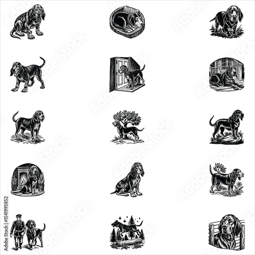 Bloodhound Dog Svg 