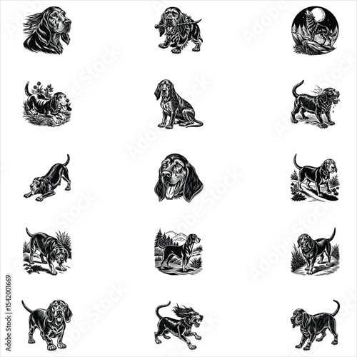 Bloodhound Dog Svg 