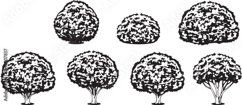 A set of shrubs and trees. Hand drawn vector illustration