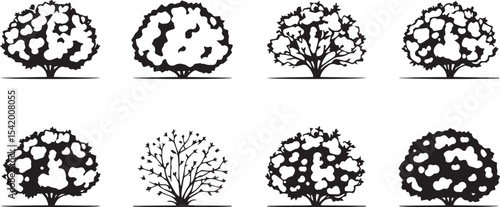 A set of shrubs and trees. Hand drawn vector illustration