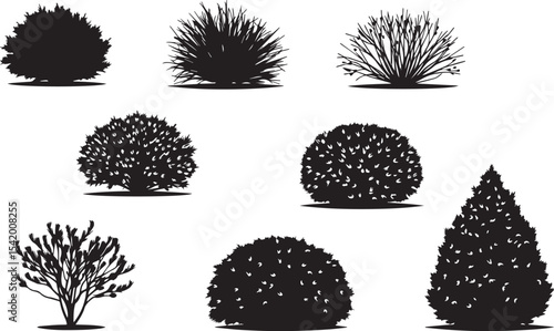 A set of shrubs and trees. Hand drawn vector illustration