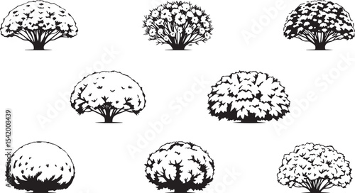 A set of shrubs and trees. Hand drawn vector illustration