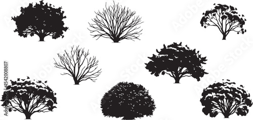 A set of shrubs and trees. Hand drawn vector illustration