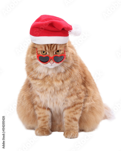 Isolated ginger cat with Santa hat and heart-shaped sunglasses on transparent background (PNG). Ideal for holiday design, greeting cards, and festive pet illustrations.