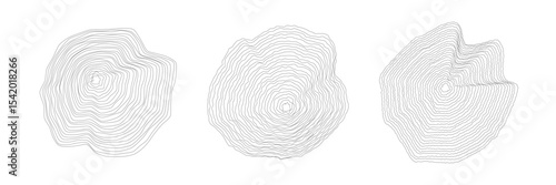 Set of rounded wood cuts on white with wavy, concentric annual rings. Cross sections of tree trunk. Organic ripple circles. Hardwood stump. Vector illustration