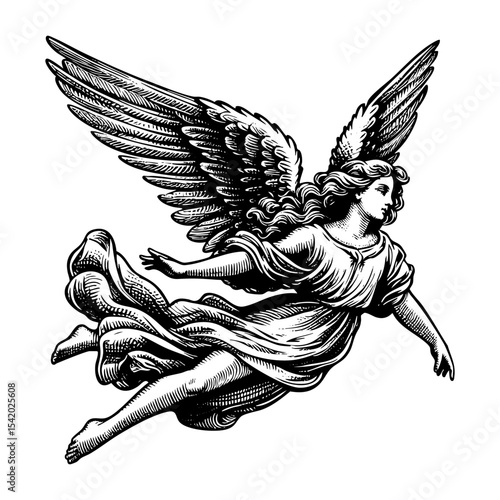 flying angel engraving black and white outline. Scratch board imitation.