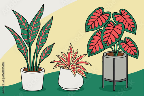 Colorful vector houseplants in modern pots with tropical leaf patterns