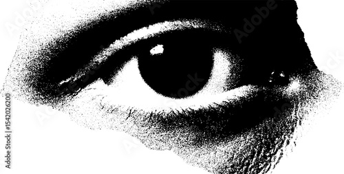 Eye of providence in high contrast black and white art design