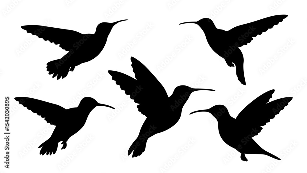 Fototapeta premium humming bird silhouette vector illustration on tranparent background