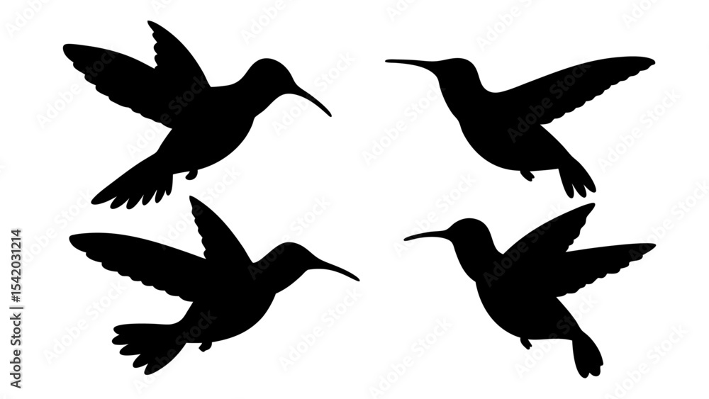 Fototapeta premium humming bird silhouette vector illustration on tranparent background