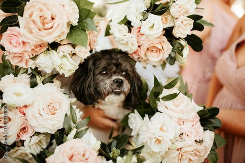 Dog surrounded by flowers