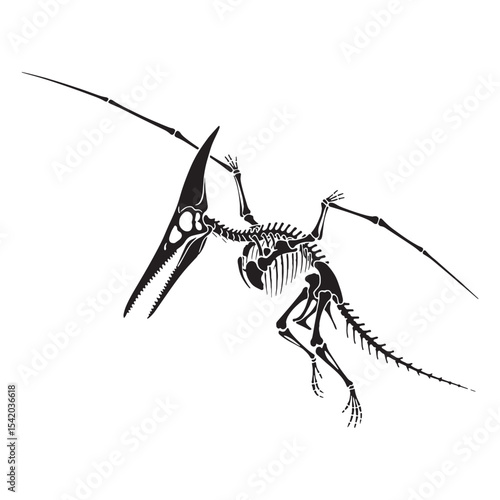 The legacy of flight – Pteranodon skeleton silhouette and detailed Pteranodon skeleton vector – dinosaur skeleton silhouette

