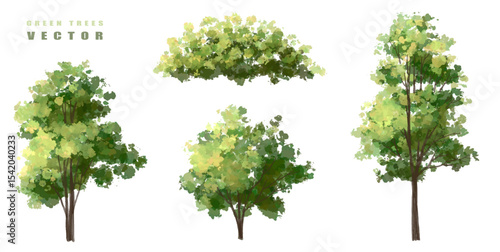 Vector of green tree side view isolated on white background ,watercolor tree elevation for landscape concept,environment scene,eco design, garden for spring