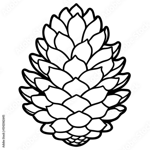 Pinecone line art vector