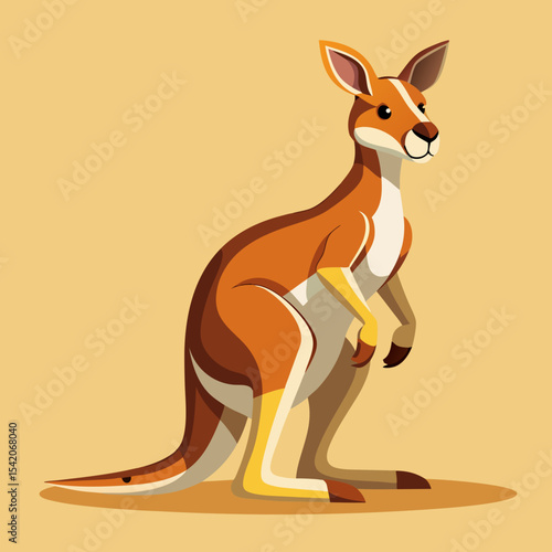 kangaroo vector illustration