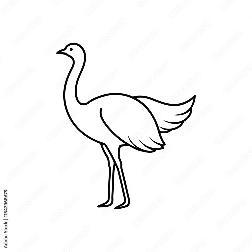 ostrich line art ostrich line art