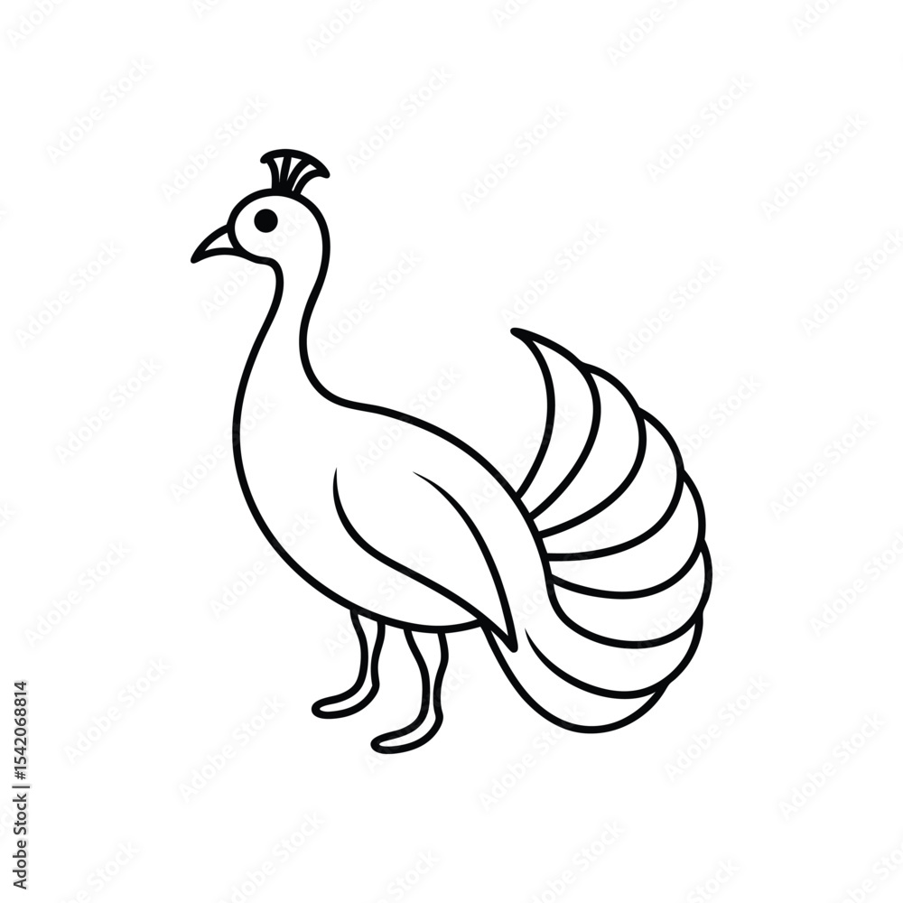 peacock line art peacock line art