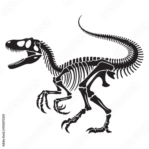 Artful fossil rendering – Velociraptor skeleton silhouette and detailed Velociraptor skeleton vector – dinosaur skeleton silhouette

