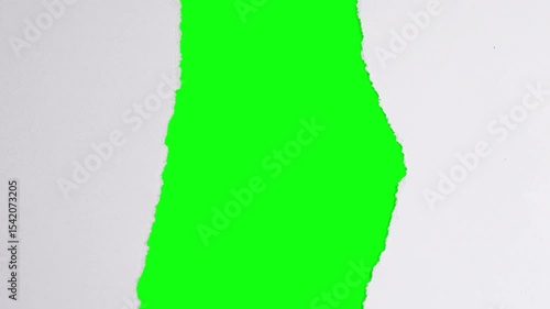 torn paper on green screen, trendy paper transition for video editing, title, etc. 4k paper footage.