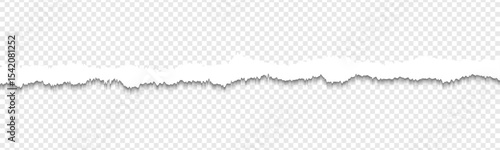 Realistic torn paper edges, vector illustration