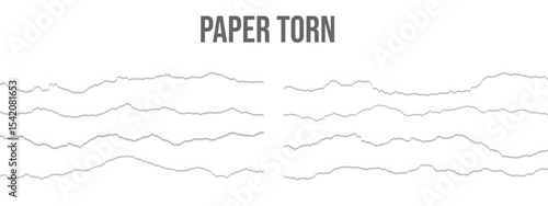 Realistic torn paper edges vector