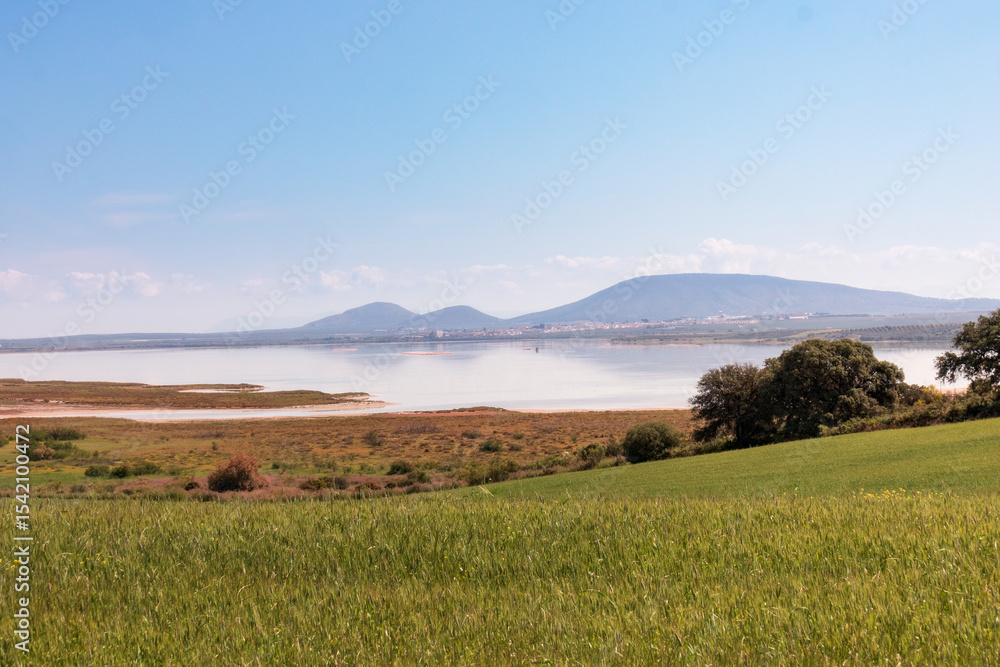 Fototapeta premium view of the Laguna of fuente piedra, malaga spain
