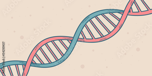 genetic engineering dna strands showing molecular structure
