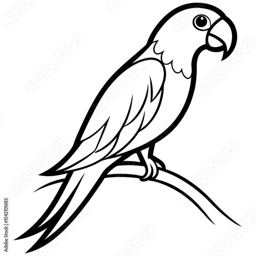 vector illustration of a bird
