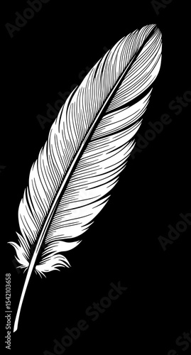 vertical feather on black background