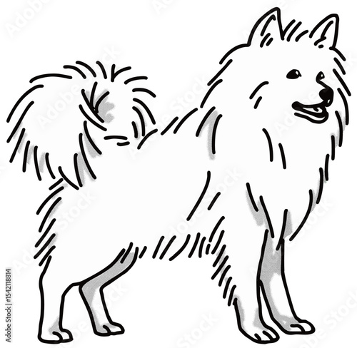 日本スピッツ　japanese spitz　犬のイラスト　白黒