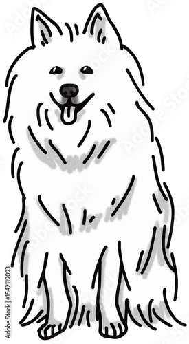 日本スピッツ　japanese spitz　犬のイラスト　白黒