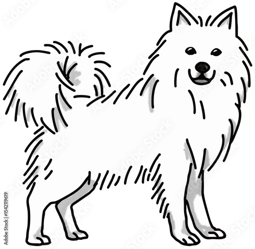 日本スピッツ　japanese spitz　犬のイラスト　白黒