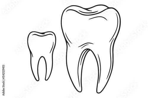 Line art drawing of two teeth of different sizes, showcasing dental health, in clean black and white.