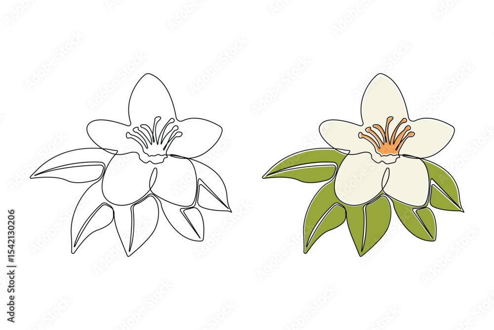 Fototapeta premium Hand-drawn vanilla pod flower continuous outline vector. Vanilla flower plant line art drawing