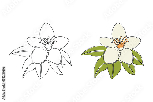 Hand-drawn vanilla pod flower continuous outline vector. Vanilla flower plant line art drawing