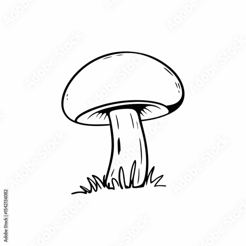 mushrooms on a white background
