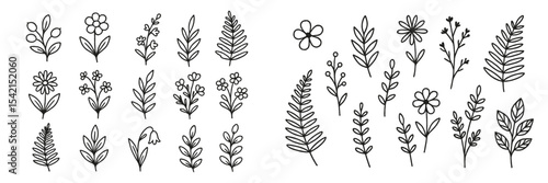 Various floral designs showcasing hand-drawn flowers and leaves in black and white detail