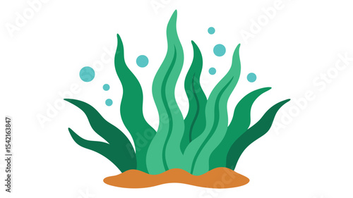 vector illustration of aquatic marine algae plant