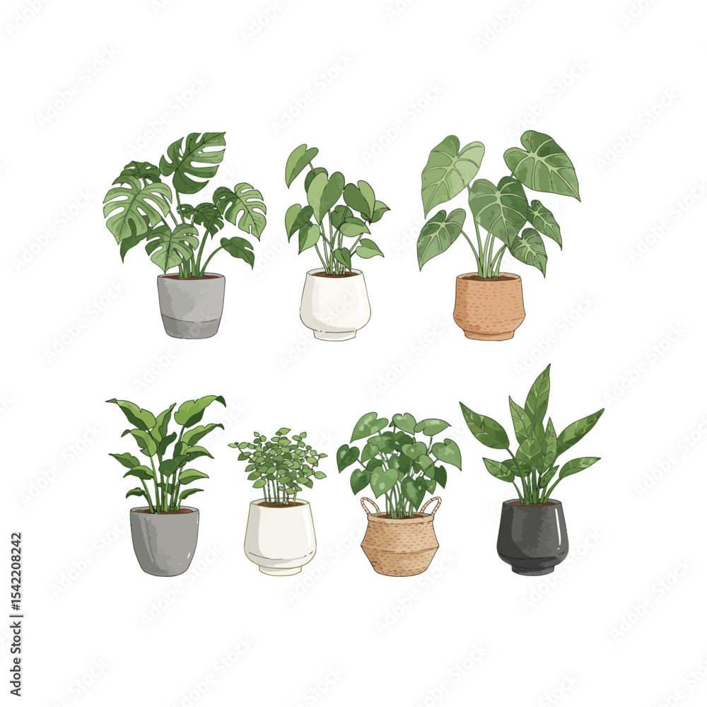 Fototapeta premium herbs in a pot