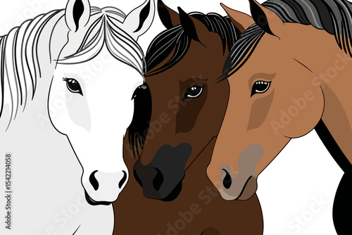 Three Horses in Harmony-A Trio of White-Brown-and-Chestnut-Horse breeds-Perfect for Horse Lovers-Equestrian Art-Animal Illustration