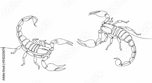 Two detailed drawings of scorpions, showcased in a line art style. 