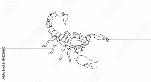 A detailed line art illustration of a scorpion.