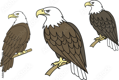 Eagle Bird Clipart Set for Wildlife Designs. High Quality Eagle Bird Clipart Collection. Detailed Eagle Bird Clipart Pack for Projects. Eagle Bird Clipart Artwork for Creative Use. Stunning Eagle Bird