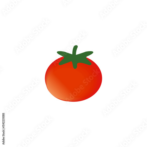 tomato vector 2d design carton fresh